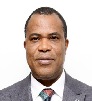 Mr. Okiemute Akpomudjere